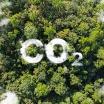 Carbon Footprint คือปริมาณคาร์บอนไดออกไซด์ที่ปล่อยจากกิจกรรมของมนุษย์