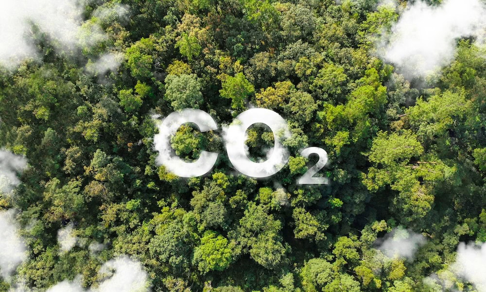 Carbon Footprint คือปริมาณคาร์บอนไดออกไซด์ที่ปล่อยจากกิจกรรมของมนุษย์